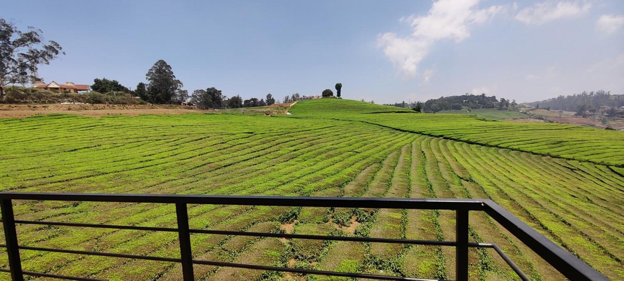 לינה וארוחת בוקר אוטי Rose Garden Enclave For Families & Executives מראה חיצוני תמונה